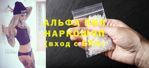 стаф Кулебаки