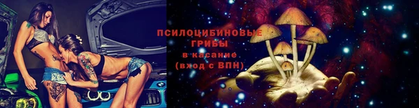 стаф Кулебаки