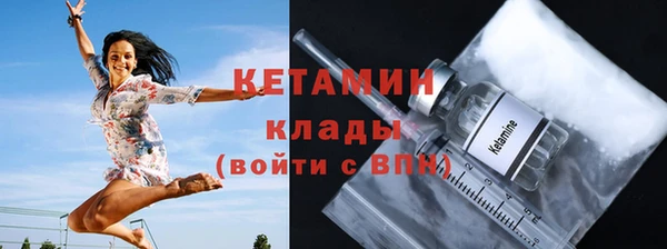 шишки Бабаево
