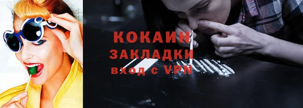 шишки Бабаево