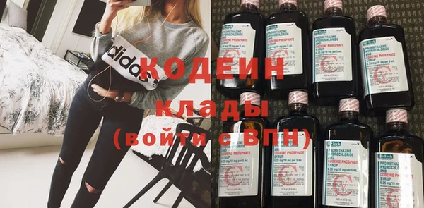 шишки Бабаево