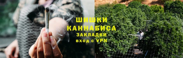 стаф Кулебаки