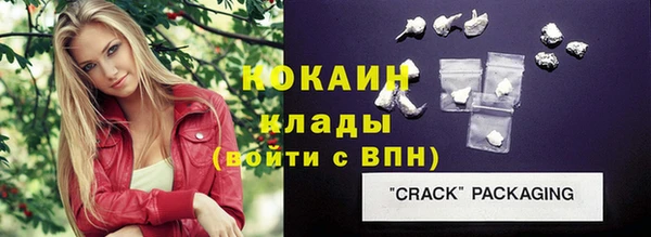стаф Кулебаки