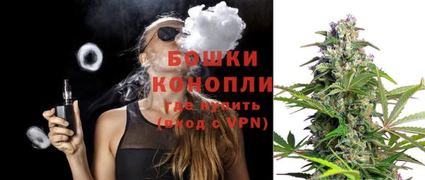 стаф Кулебаки