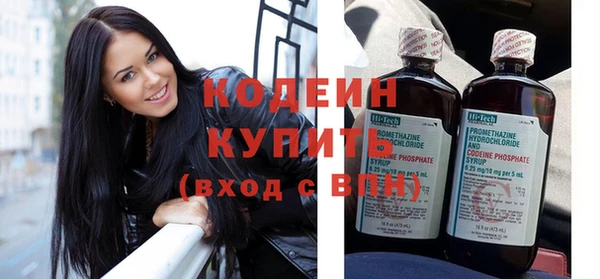 стаф Кулебаки