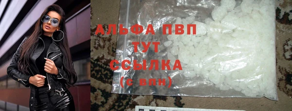 стаф Кулебаки
