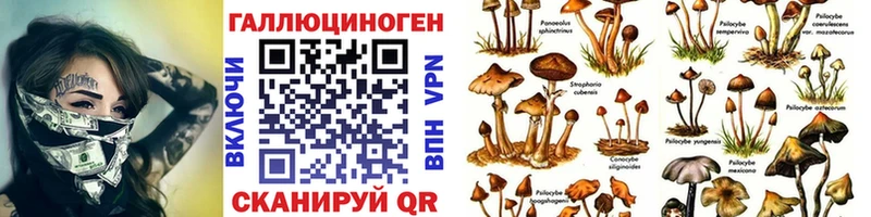 Псилоцибиновые грибы Magic Shrooms  Лиски 
